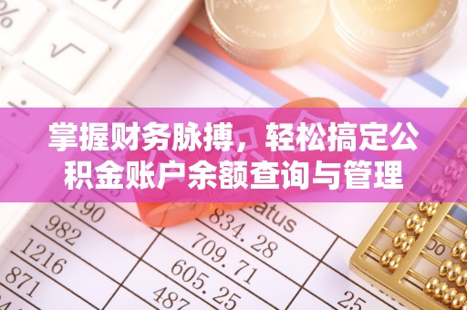 仙游掌握财务脉搏，轻松搞定公积金账户余额查询与管理