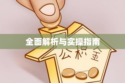 仙游全面解析与实操指南