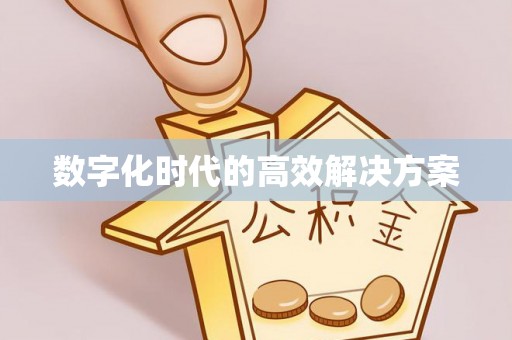 仙游数字化时代的高效解决方案
