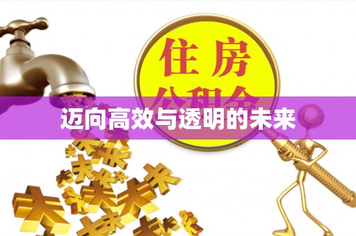 仙游迈向高效与透明的未来