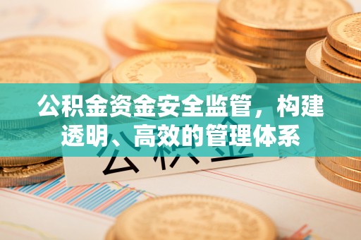 仙游公积金资金安全监管，构建透明、高效的管理体系