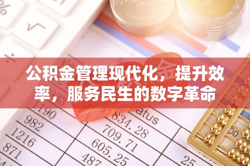仙游公积金管理现代化，提升效率，服务民生的数字革命