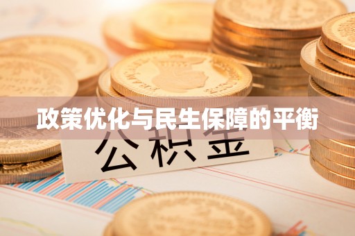 仙游政策优化与民生保障的平衡