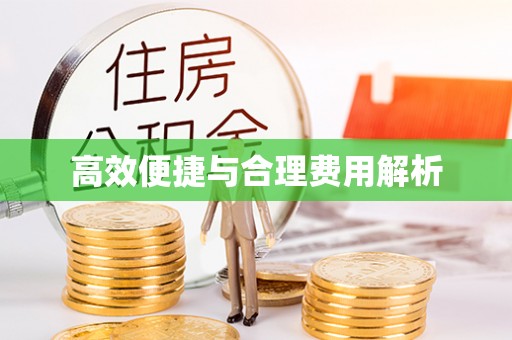 仙游高效便捷与合理费用解析