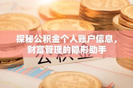 仙游探秘公积金个人账户信息，财富管理的隐形助手