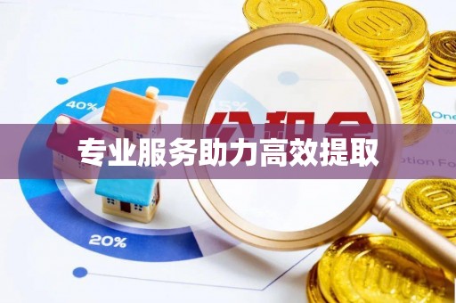 仙游专业服务助力高效提取