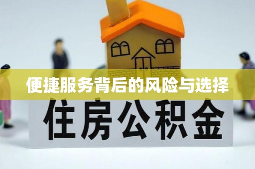 仙游便捷服务背后的风险与选择