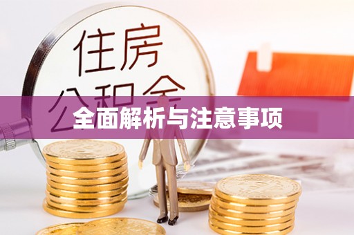 仙游全面解析与注意事项