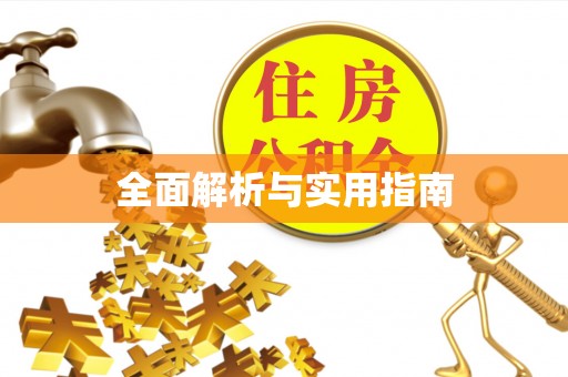 仙游全面解析与实用指南