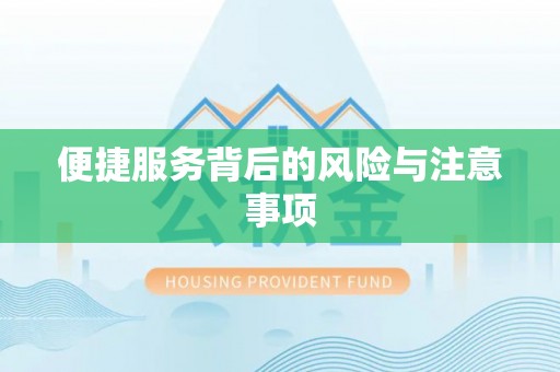 仙游便捷服务背后的风险与注意事项